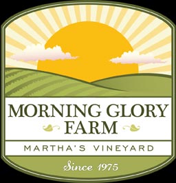 Morning Glory logo